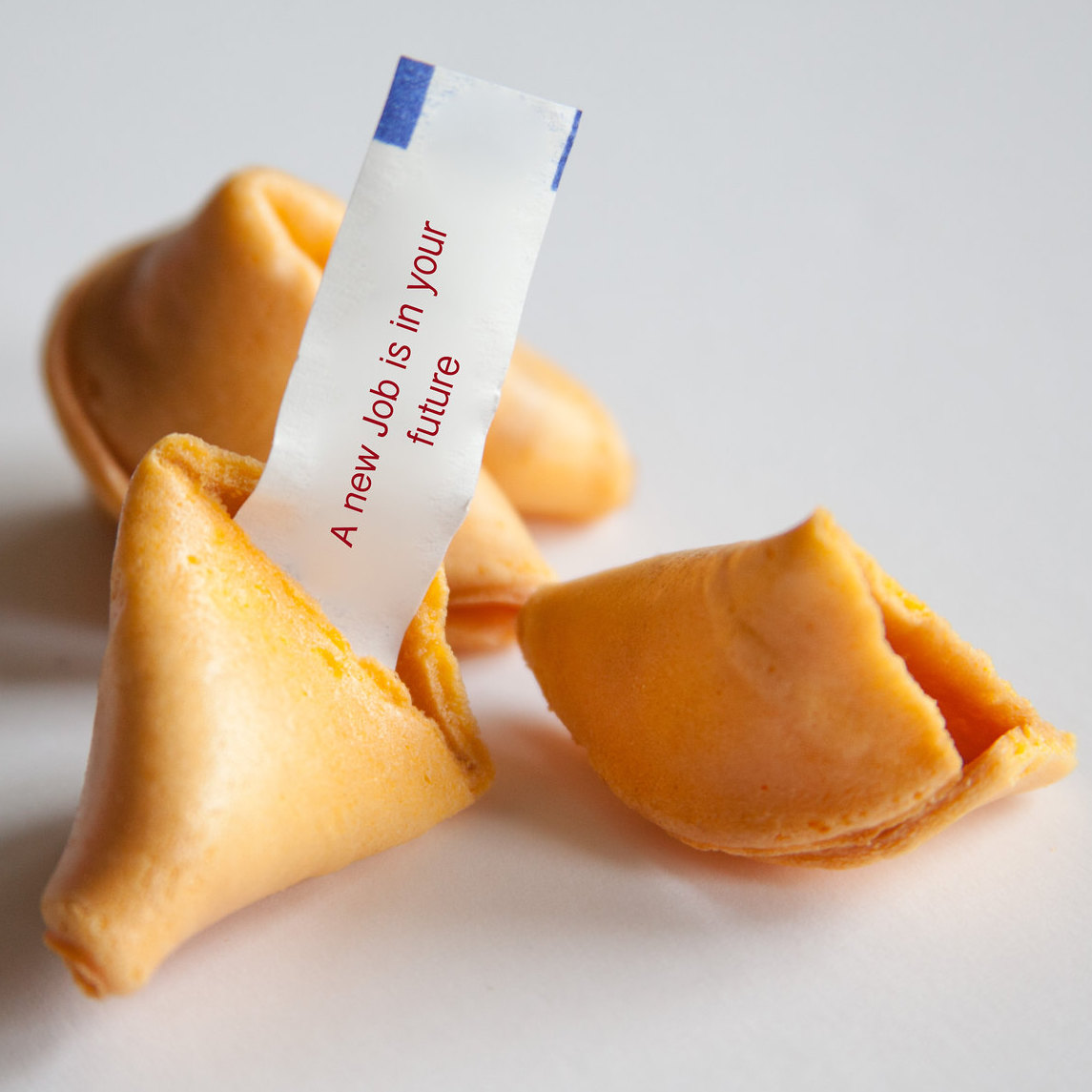 Fortune Cookies: A new job is in your future